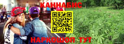 PSILOCYBIN Кунгур