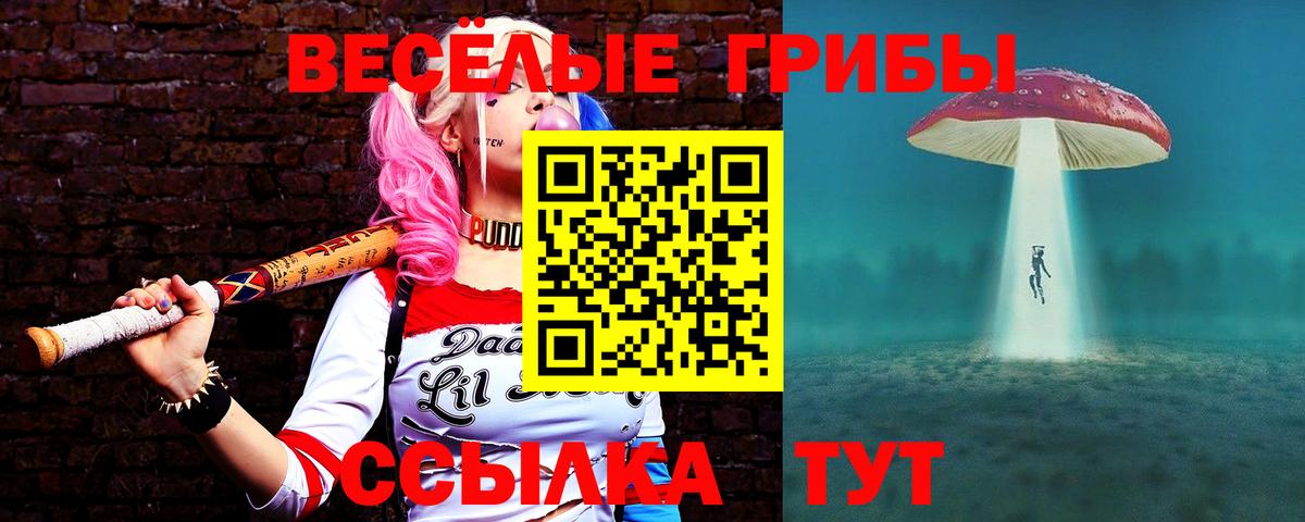 Псилоцибиновые грибы Psilocybe  продажа наркотиков  Тверь  Вход с VPN 
