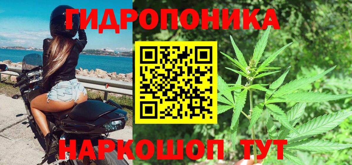 Марихуана OG Kush Тверь